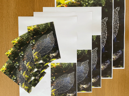 photocopying and enlarging